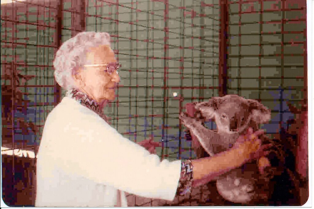 My grandmother, Lulu Stratton, pets a caged koala on Magnetic Island in 1974.