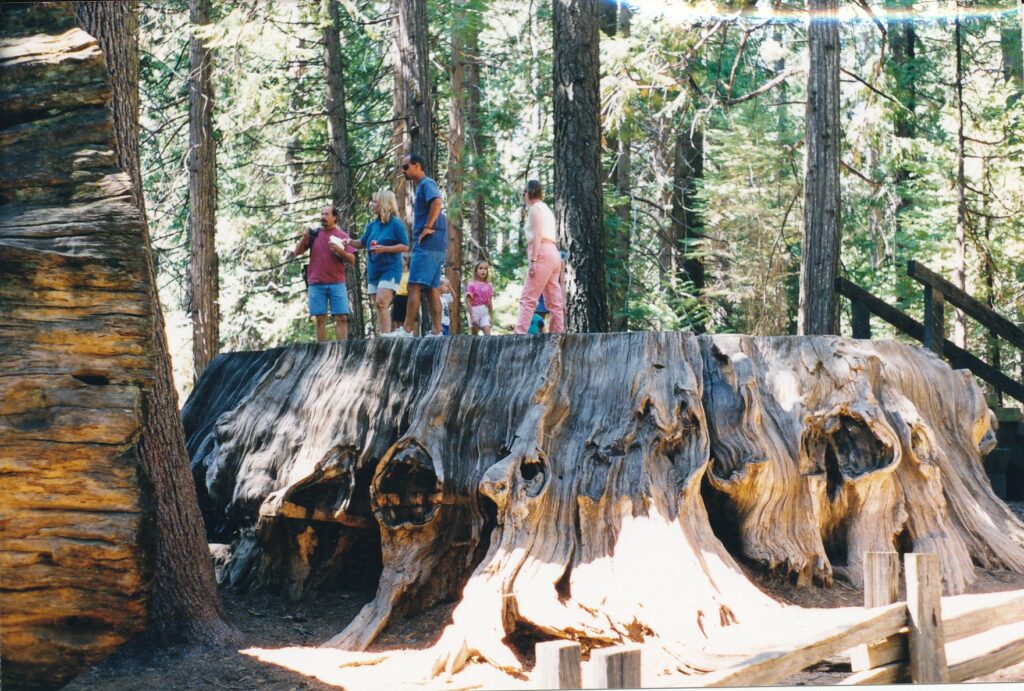 You'll have to walk a bit to see the attractions here, but there's a big payoff. Several tall ones, anyway.