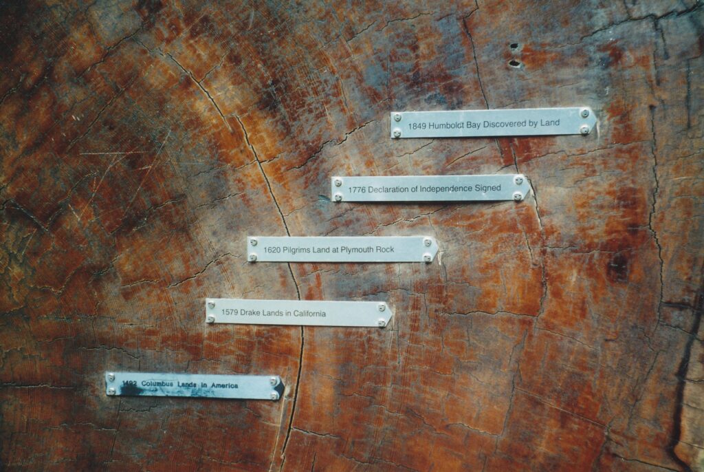 Plaques indicate dates of growth experienced by this 839-year-old redwood that fell in the 1980s