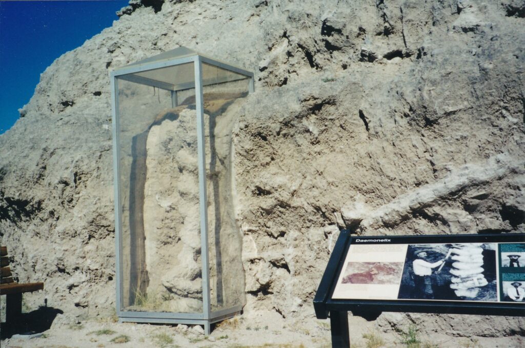 The Daemonelix Trail spotlights corkscrew-shaped fossils at Agate Fossil Beds National Monument.