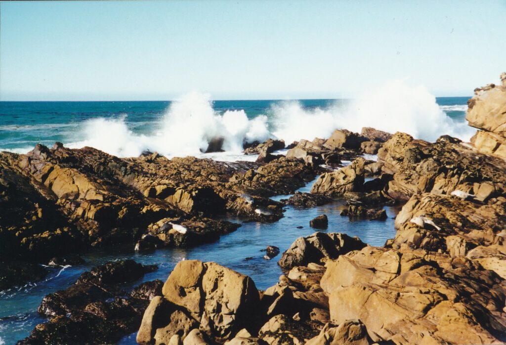Rocky coastlines and crashing waves -- bathed in wintertime sunshine -- are features of these hikes.
