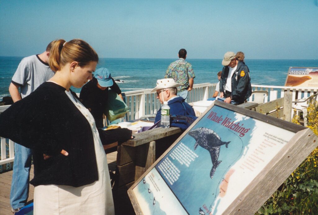 Whale watching is a common thing to do along the California coast, including at Pigeon Point.