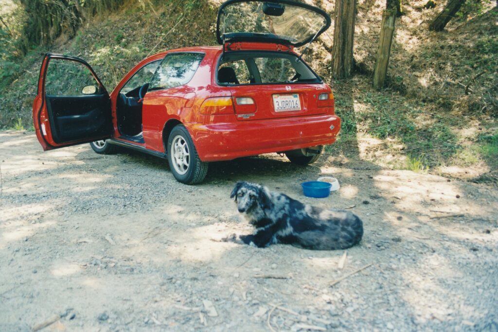 Our faithful mutt Tinker, shown here with the car I kept for 24 years, was always glad for pit stops.