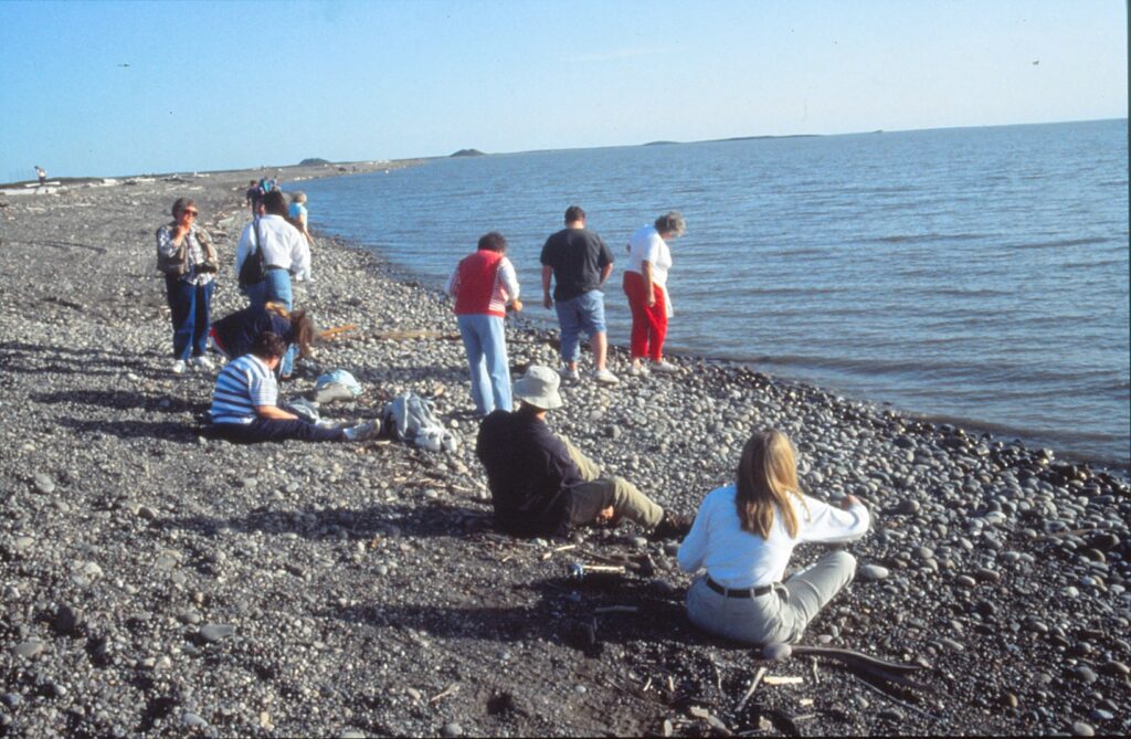 Tourists prepare to dip their toes into the Arctic Ocean during their nighttime trek to Tuktoyaktuk.